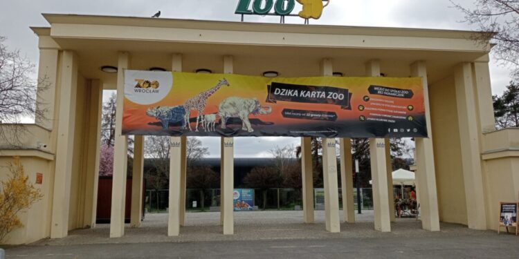 Biegnij dla fauny Afryki! Wild Run we wrocławskim ZOO odbędzie się w październiku tego roku